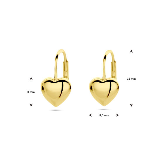 Oorhangers hart brisur haak gold plated model T