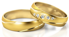 Trouwringen Goud model 73029