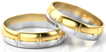 Demo-Trouwringen Goud model 92579 | Geelgoud met Witgoud