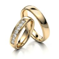 Vriendschapsringen Titanium model DC | Stel uw eigen set samen