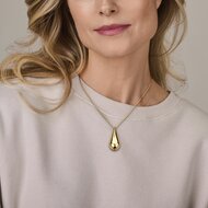 Halsketting hanger druppel gold plated model AB