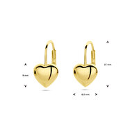 Oorhangers hart brisur haak gold plated model T