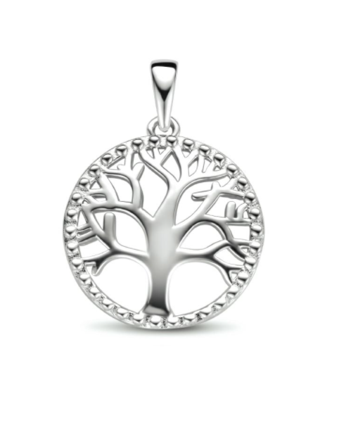 Halsketting 925 zilver hanger levensboom model KG