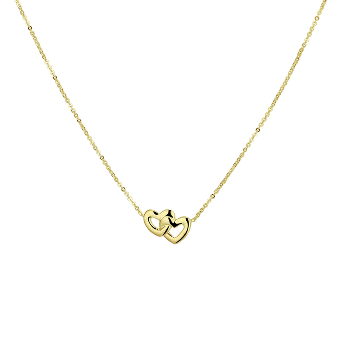Halsketting 14 karaat goud dubbele hartjes model DZ