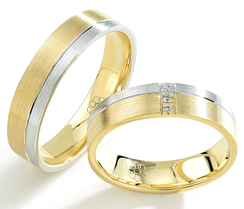 Set Gouden Ringen model 9006