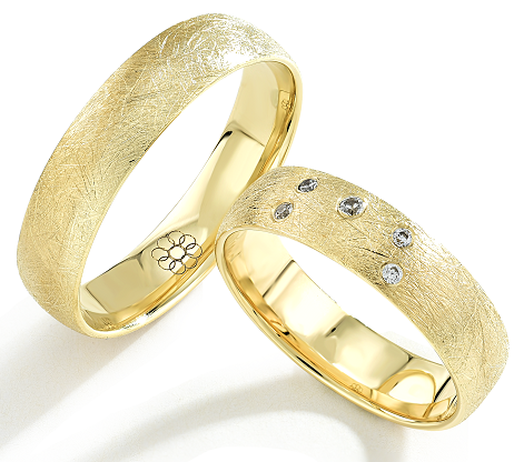 Set Gouden Ringen model 6001