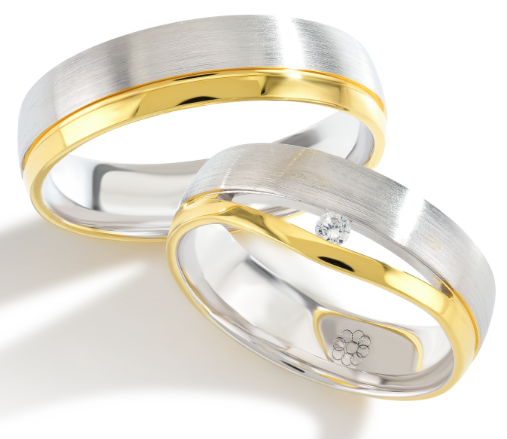 Set Gouden Ringen model 5017