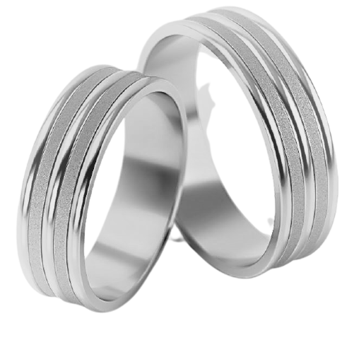 Set Zilveren Ringen model 70597