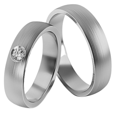 Set Zilveren Ringen model 52495