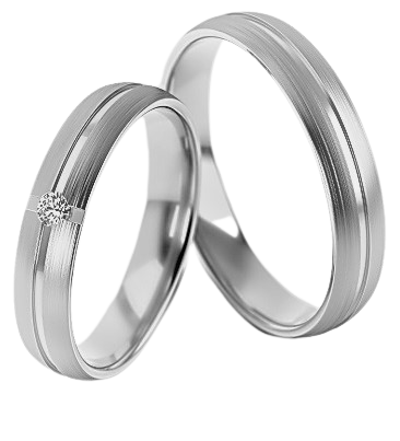 Set Zilveren Ringen model 52678
