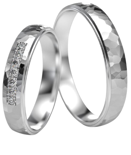 Set Zilveren Ringen model 43209