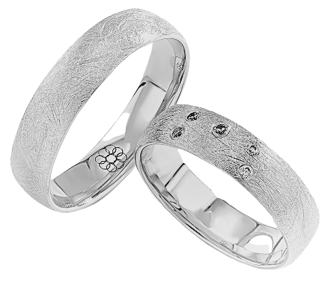 Set Zilveren Ringen model 30013