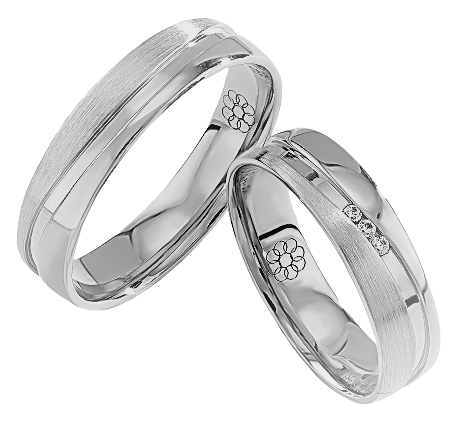 Set Zilveren Ringen model 70169