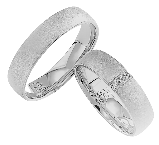 Set Zilveren Ringen model 10203