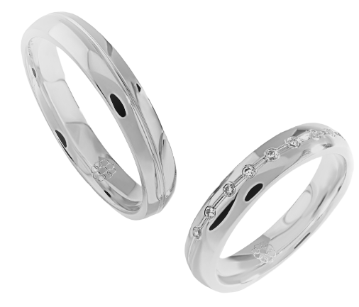 Set Zilveren Ringen model 30023