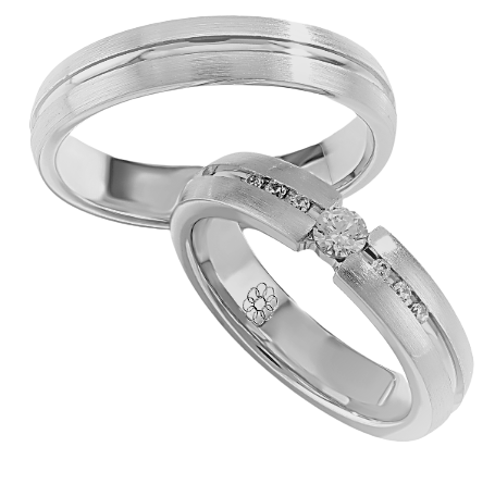 Set Zilveren Ringen model 30102