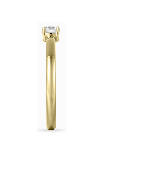 Schitterende 14K Gouden Ring met Zirkonia model 253