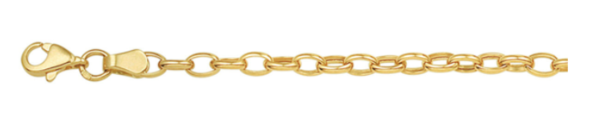 Schitterende 14K Geel Gouden Halsketting Anker 3 mm. (model 1C)