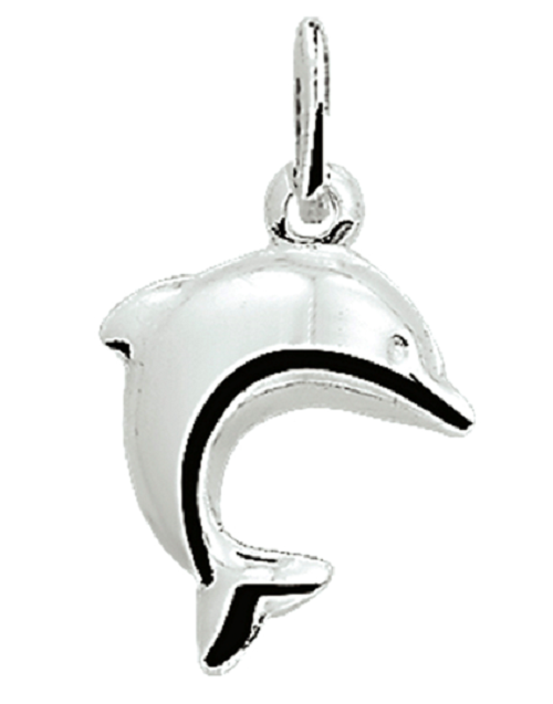 Schitterende Zilveren Halsketting met Dolfijn