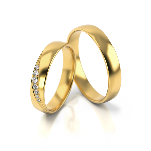 Set Gouden Ringen model 53179