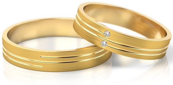 Set Gouden Ringen model 42086