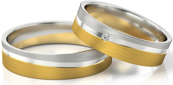 Set Gouden Ringen model 13008