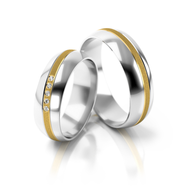 Set Gouden Ringen model 12561