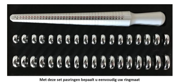 Set Witgouden Ringen voorzien van Diamant model 13309