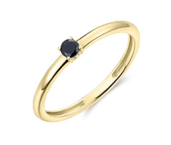Schitterende 14 Karaat Gouden Ring met Zwarte Zirkonia model 304